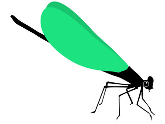 Similar image 1205474