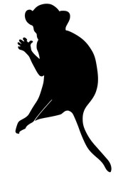 Similar image 1205479