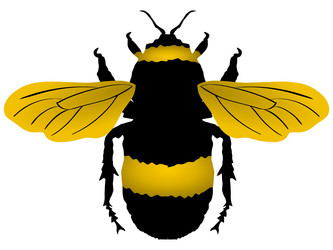 Similar image 1205487