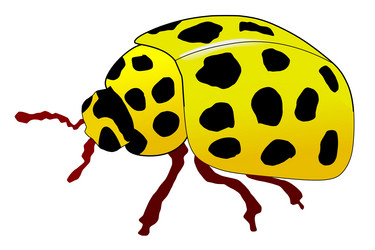 Similar image 1205491