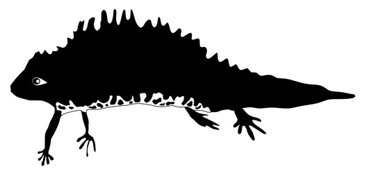 Similar image 1205492