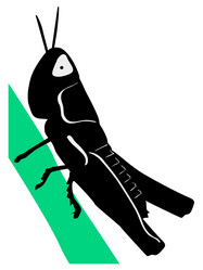 Similar image 1205503