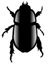 Similar image 1205505