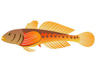 Similar image 1205511