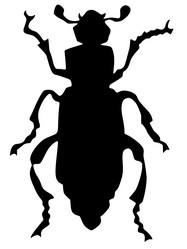 Similar image 1205512