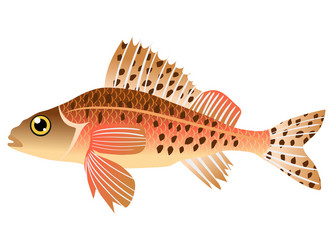 Similar image 1205524