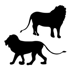 Similar image 1205530