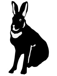 Similar image 1205533