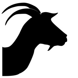 Similar image 1205534