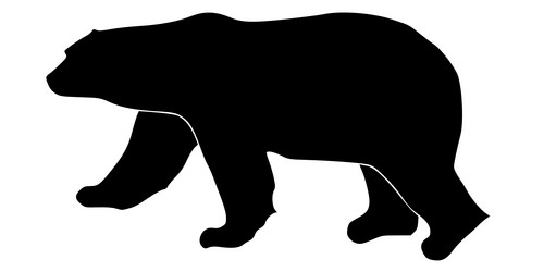 Similar image 1205535