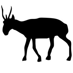 Similar image 1205536