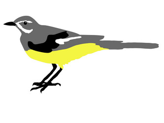 Similar image 1205538