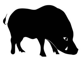 Similar image 1205542