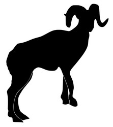 Similar image 1205543