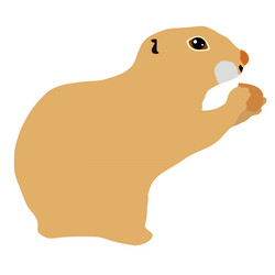 Similar image 1205548