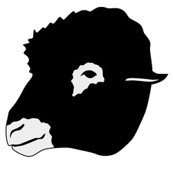 Similar image 1205552