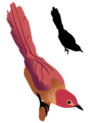 Similar image 1205555