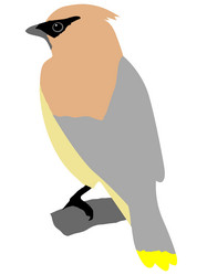 Similar image 1205557