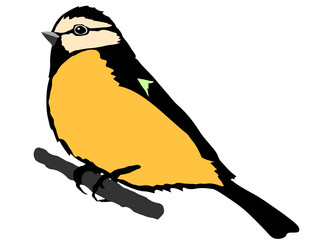 Similar image 1205573