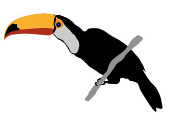 Similar image 1205574