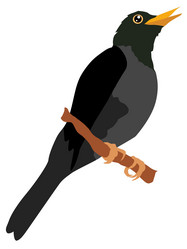 Similar image 1205580