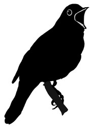 Similar image 1205583