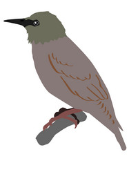 Similar image 1205589