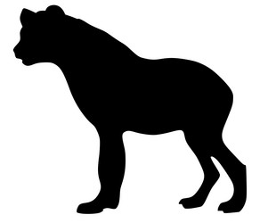 Similar image 1205593