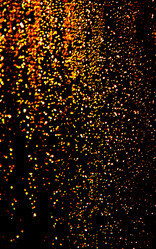 Similar image 1205620