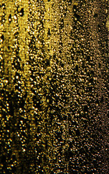 Similar image 1205624