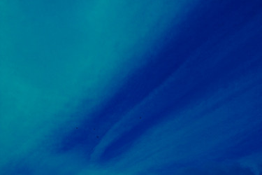 Similar image 1205625