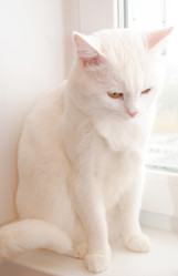 Similar image 1205672