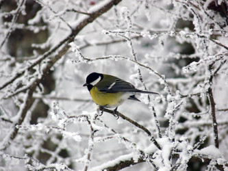 Similar image 1205739