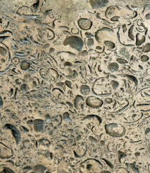 Similar image 1205741