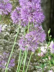 Similar image 1205743