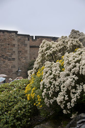 Similar image 1205750