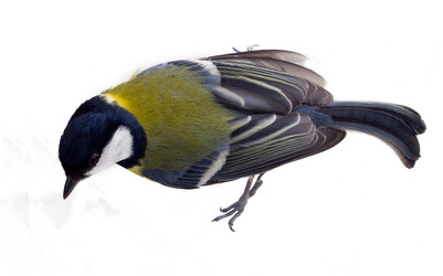 Similar image 1205795