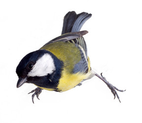 Similar image 1205796