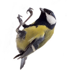 Similar image 1205797