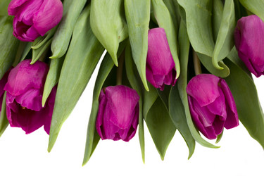 Similar image 1205801