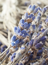 Similar image 1205819