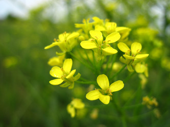 Similar image 1205832