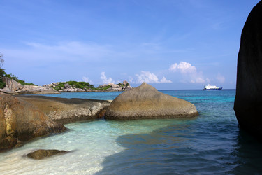 Similar image 1205839