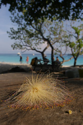 Similar image 1205841