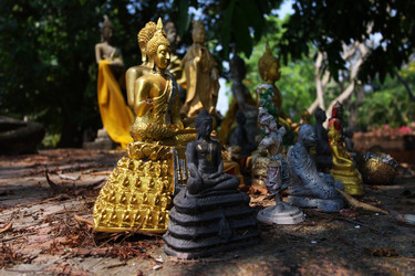 Similar image 1205842