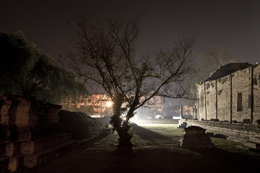 Similar image 1205843