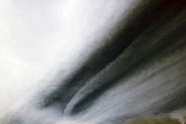 Similar image 1205858