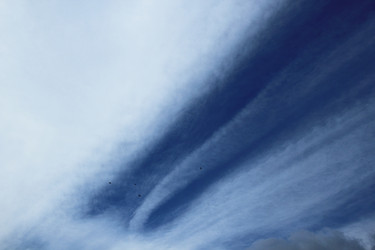 Similar image 1205860