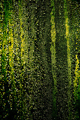 Similar image 1205862