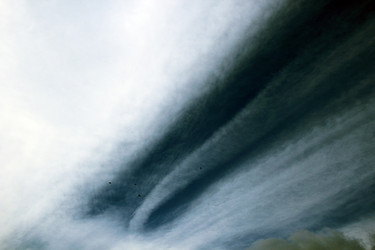 Similar image 1205863